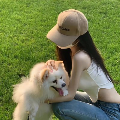 光荣之路上的狗